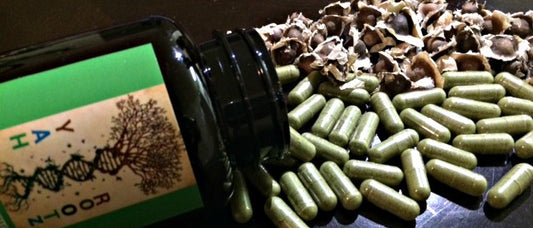 What is Moringa Oleifera?