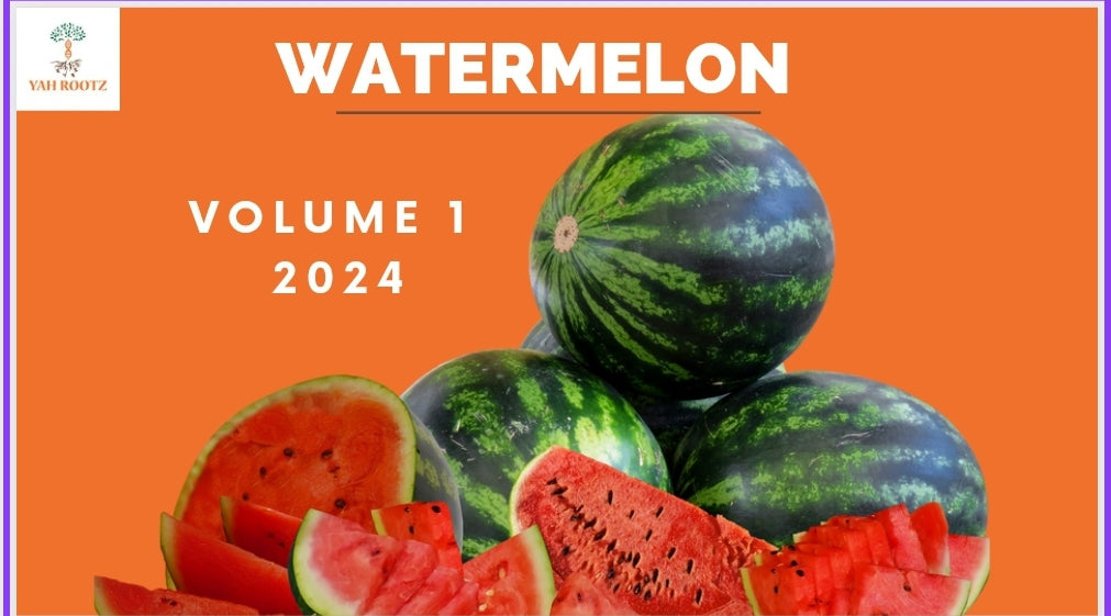 Watermelon Volume 1