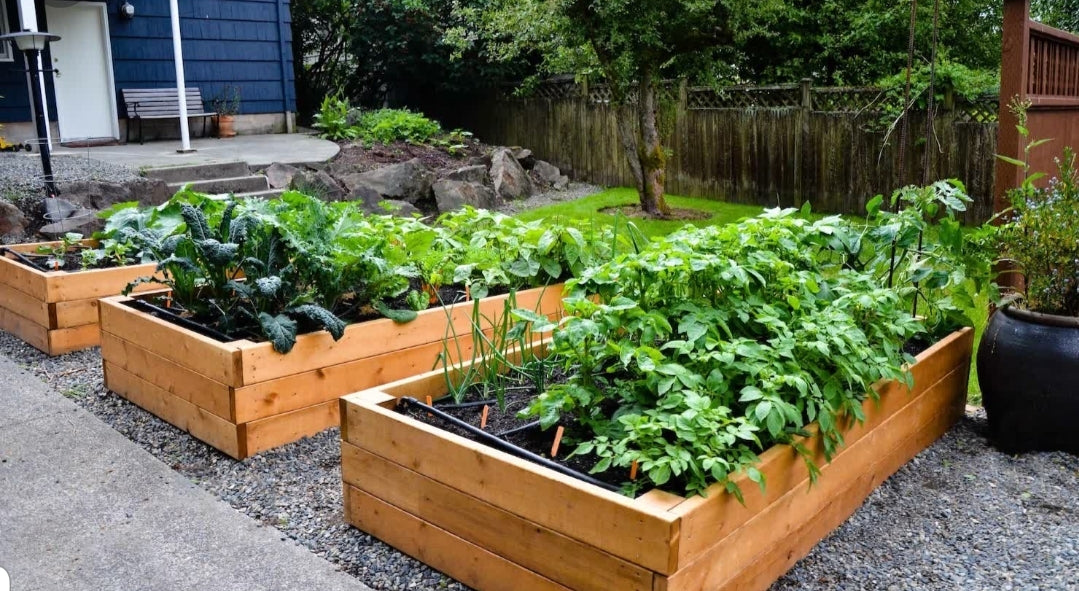 Vegetable Garden - YAH ROOTZ