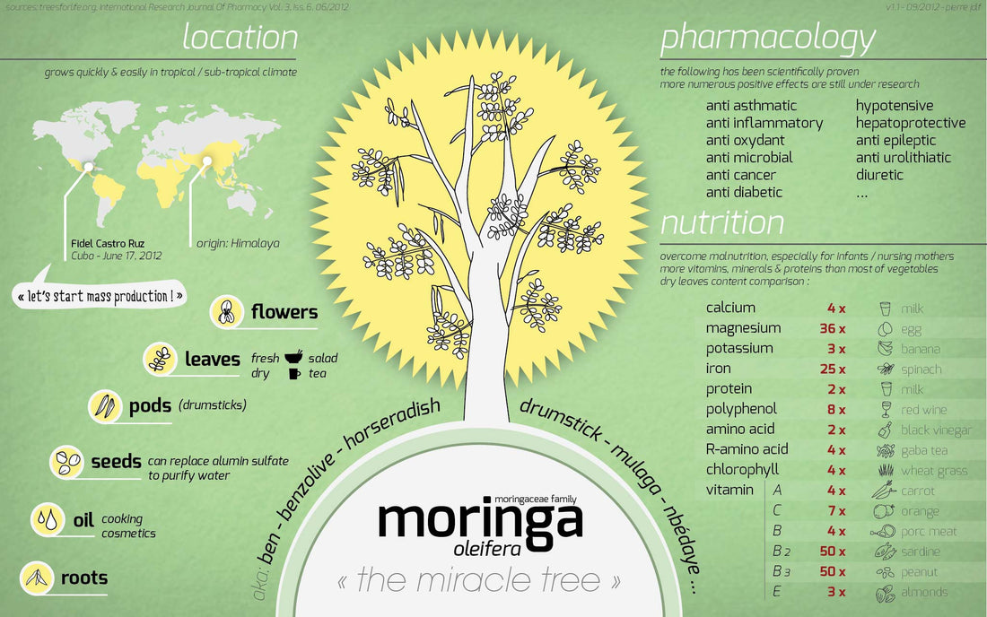 Moringa Chart Moringa chart 2 – YAH ROOTZ