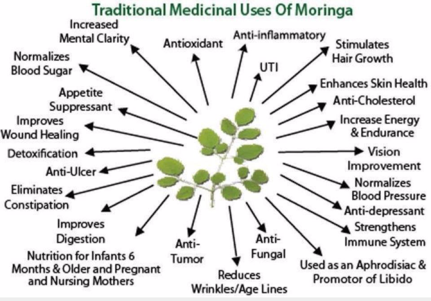 Medicinal chart of Moringa – YAH ROOTZ