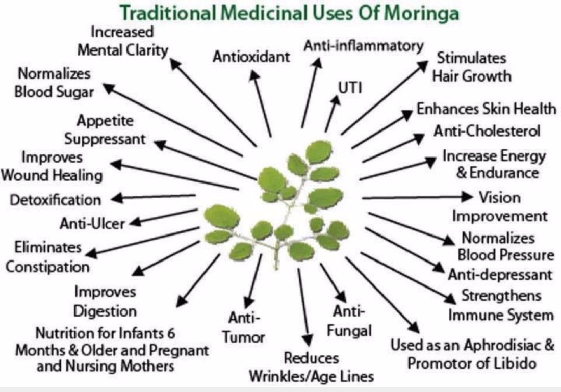 Medicinal chart of Moringa