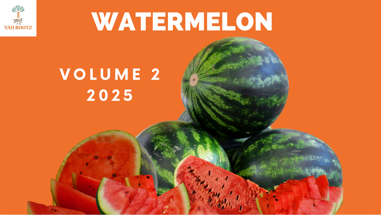 🍉 Watermelon Volume 2: Growth, Care, & Sweet Success